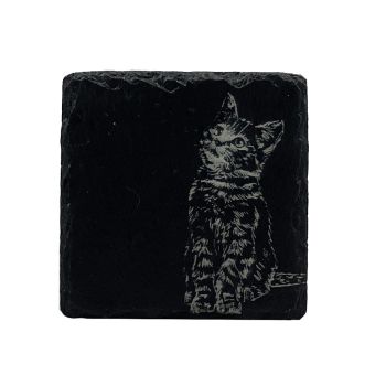 Main image of Single Slate Coaster - Tabby Cat